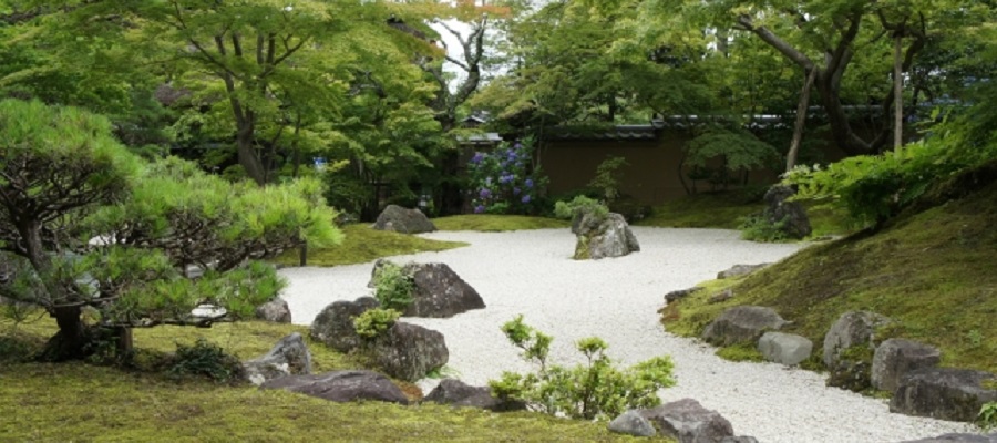 緑地 山田 山田緑地